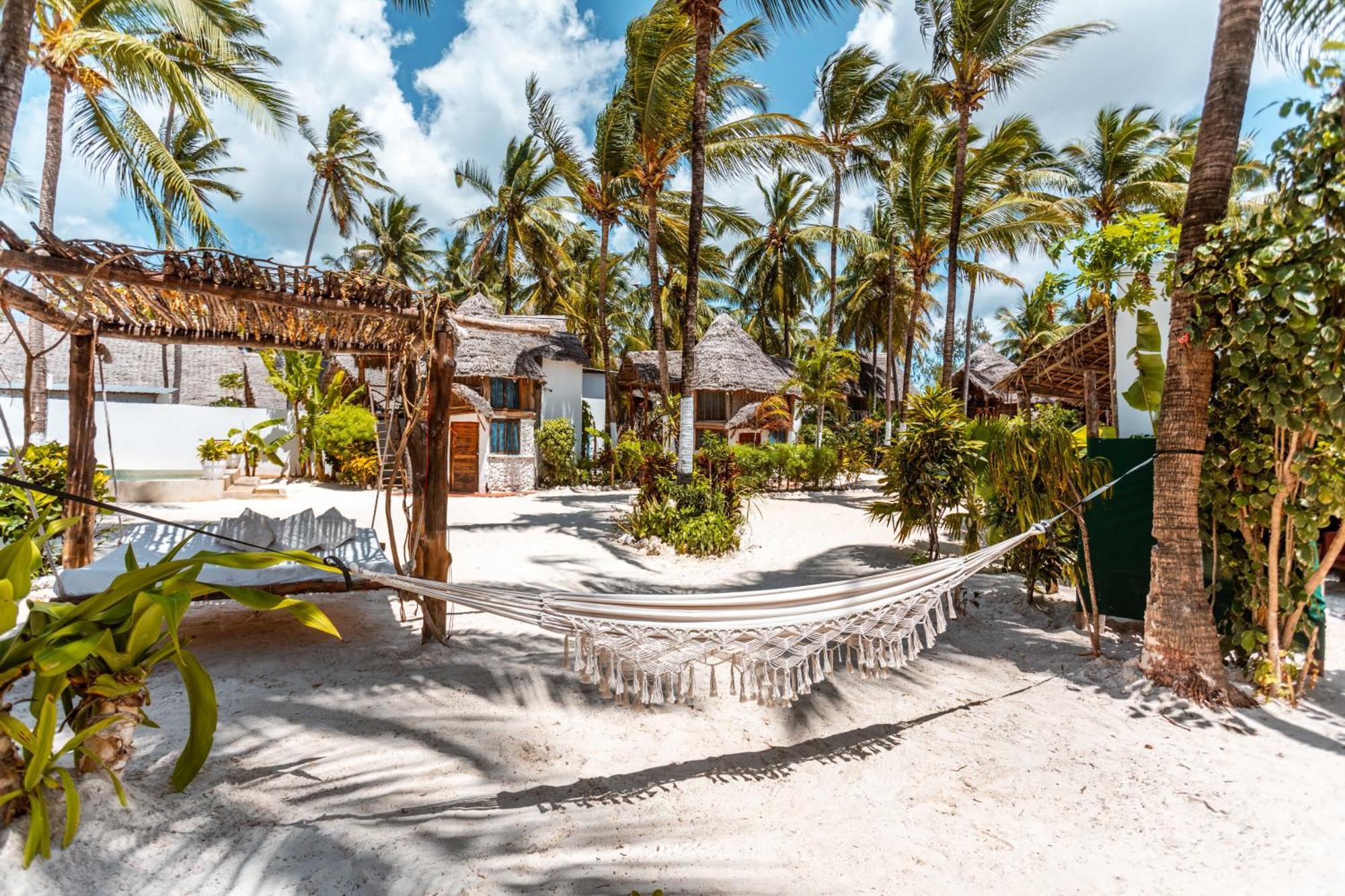 Hotel Maisha Matamu Paje