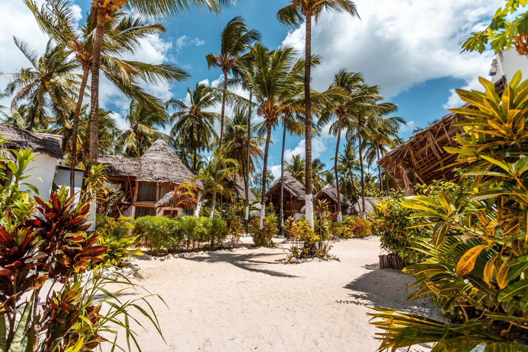 Maisha Matamu Hotel Paje